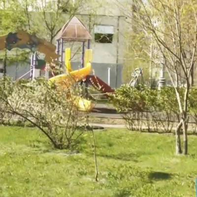 Прокуратура Москвы подтвердила факт падения ветки дерева на ребенка