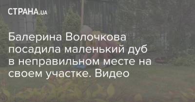 Балерина Волочкова посадила маленький дуб в неправильном месте на своем участке. Видео