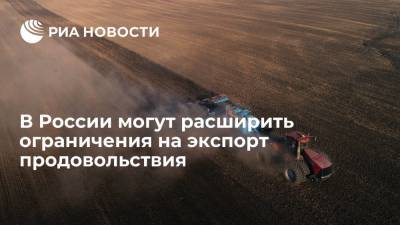 В России могут расширить ограничения на экспорт продовольствия