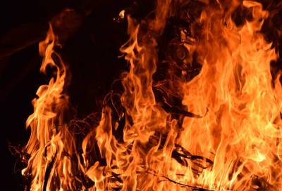 Двое пенсионеров погибли при пожаре в Волховском районе