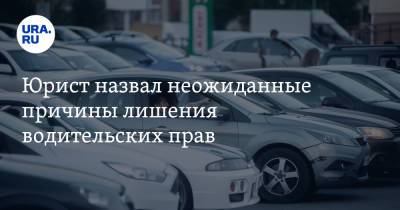 Юрист назвал неожиданные причины лишения водительских прав