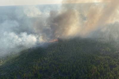 В Якутии на утро 7 июня тушат 22 лесных пожара - mk.ru - респ. Саха