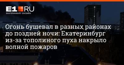 Огонь бушевал в разных районах до поздней ночи: Екатеринбург из-за тополиного пуха накрыло волной пожаров