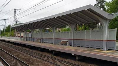 В Ступино открылась ж/д станция Акри после реконструкции