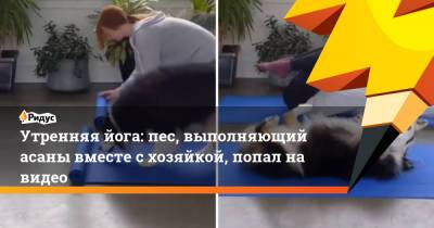 Утренняя йога: пес, выполняющий асаны вместе с хозяйкой, попал на видео
