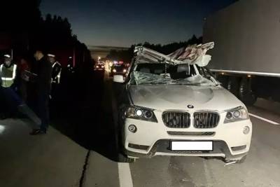 На ЕКАД после столкновения с лосем погиб водитель BMW X3