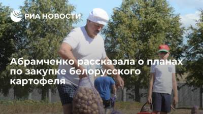 Абрамченко рассказала о планах по закупке белорусского картофеля