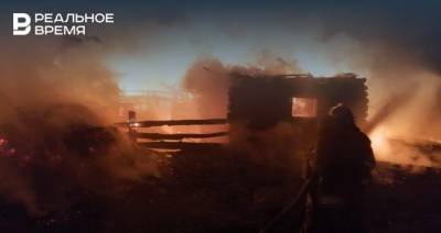 В ночном пожаре в Татарстане погибла женщина, двое пострадавших в реанимации