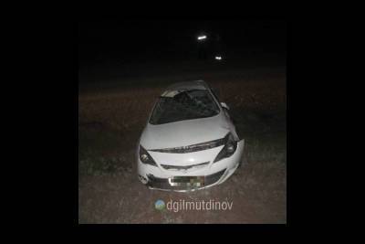 Пьяный водитель из Башкирии едва не погубил свою пассажирку