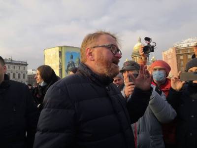 Коллекторы обратились в СК из-за оскорблений депутата Милонова, назвавшего их «паразитами»