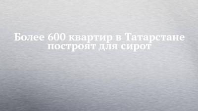 Более 600 квартир в Татарстане построят для сирот