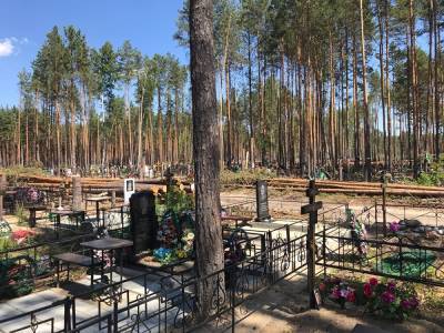 На тюменском кладбище начали валить лес — чтобы деревья не упали на могилы