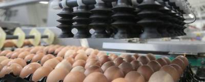 Минсельхоз предложил способ предотвратить дефицит яиц
