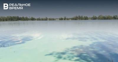 Соцсети: в Архиерейское озеро в Татарстане слили химикаты