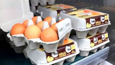 Минсельхоз назвал способ избежать дефицита куриных яиц