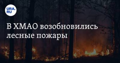 В ХМАО возобновились лесные пожары - ura.news - Югра - район Кондинский