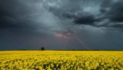 В Украине пройдут дожди и грозы