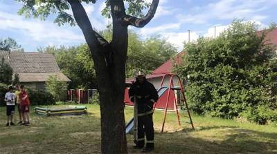 В Волковысском районе подросток застрял между веток дерева