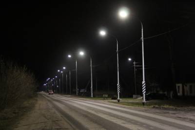 37 фонарей установят в пушкиногорской деревне благодаря нацпроекту