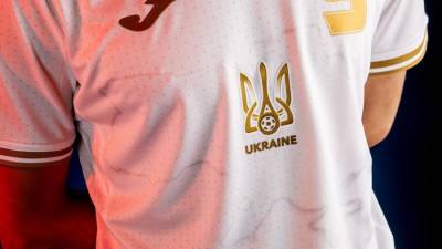 В Госдуме назвали недопустимым решение УЕФА по украинской форме
