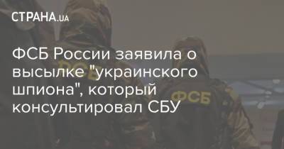 ФСБ России заявила о высылке "украинского шпиона", который консультировал СБУ