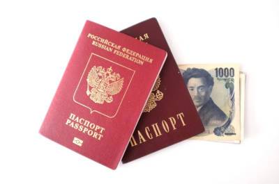 Заявление на получение паспорта в консульствах могут разрешить подавать через госуслуги