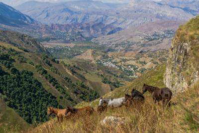 Первый природный парк создадут в высокогорном селе Дагестана - etokavkaz.ru - респ. Дагестан - район Хунзахский
