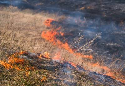 За сутки ульяновские пожарные выезжали на тушение сухой травы 5 раз