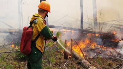 В Югре возобновились природные пожары