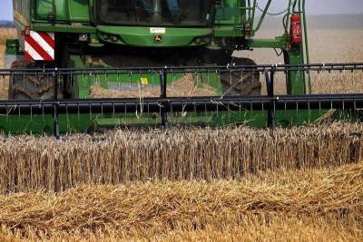 ИКАР повысил прогноз урожая пшеницы в РФ в 21г до 80 млн т