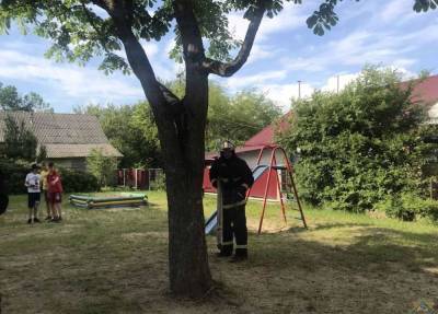 В Волковысском районе спасатели помогли подростку: он ногой застрял между веток дерева