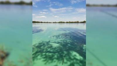 Прокуратура Татарстана проверяет информацию о сливе химикатов в Архиерейское озеро