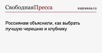 Россиянам объяснили, как выбрать лучшую черешню и клубнику - svpressa.ru - Туапсе - Экология