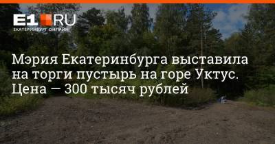 Мэрия Екатеринбурга выставила на торги пустырь на горе Уктус. Цена — 300 тысяч рублей