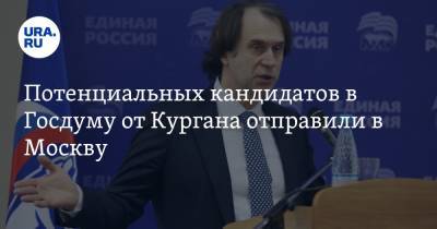 Потенциальных кандидатов в Госдуму от Кургана отправили в Москву