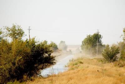 МЧС предупреждает о новой пыльной буре в Астраханской области