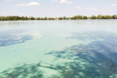 Экологи возьмут пробы из Архиерейского озера под Казанью