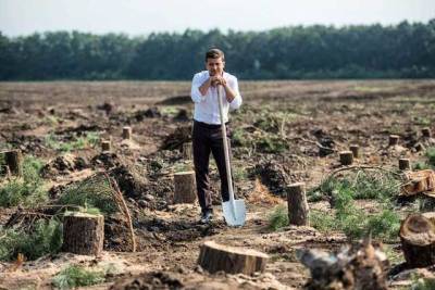 Зеленский планирует за ближайшие три года посадить в Украине 1 миллиард деревьев