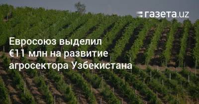 Евросоюз выделил €11 млн на развитие агросектора Узбекистана