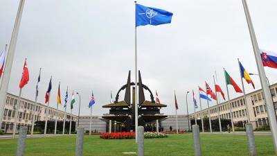 В Совфеде заявили о готовности к контактам с НАТО «для дела»