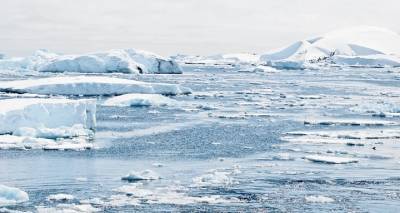 Ученые выяснили, что Антарктиду могли открыть на 1000 лет раньше