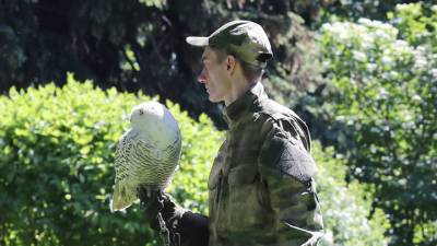 В ФСО новый сотрудник: Кремль от ворон будет охранять сова Буран