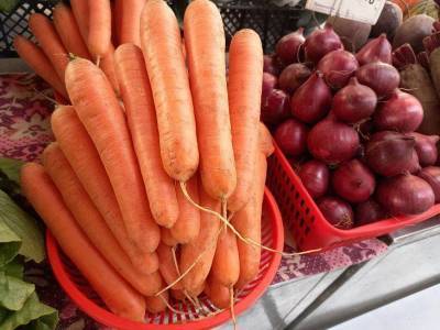 Как вырастить сладкую морковь: 5 рекомендаций