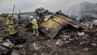 Суд в Гааге начались слушания дела о крушении Boeing MH17