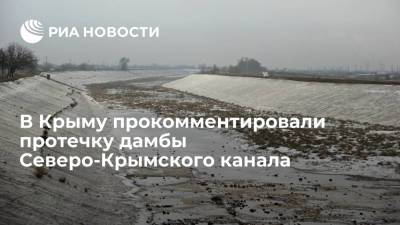 В Крыму прокомментировали протечку дамбы Северо-Крымского канала