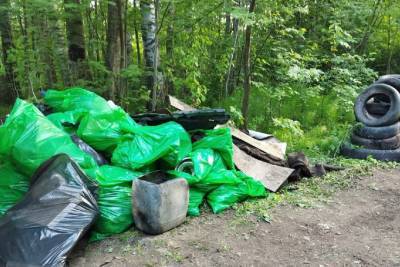 “Чистые Игры”: в Новом Девяткино волонтеры собрали 1,5 тонны мусора
