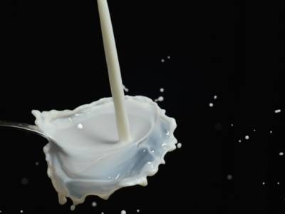 Производители сухого молока в России получат компенсацию за модернизацию