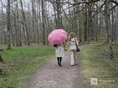 Дождливая погода придет в Нижний Новгород к середине недели