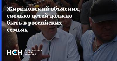 Жириновский объяснил, сколько детей должно быть в российских семьях