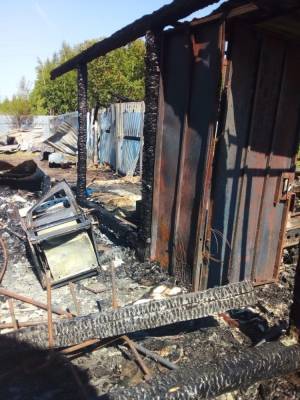 Пожар в питомнике для собак в Твери: уничтожены вольеры, в огне погибли животные